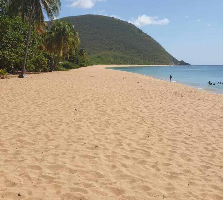 Plage de Grande Anse Deshaies Guadeloupe